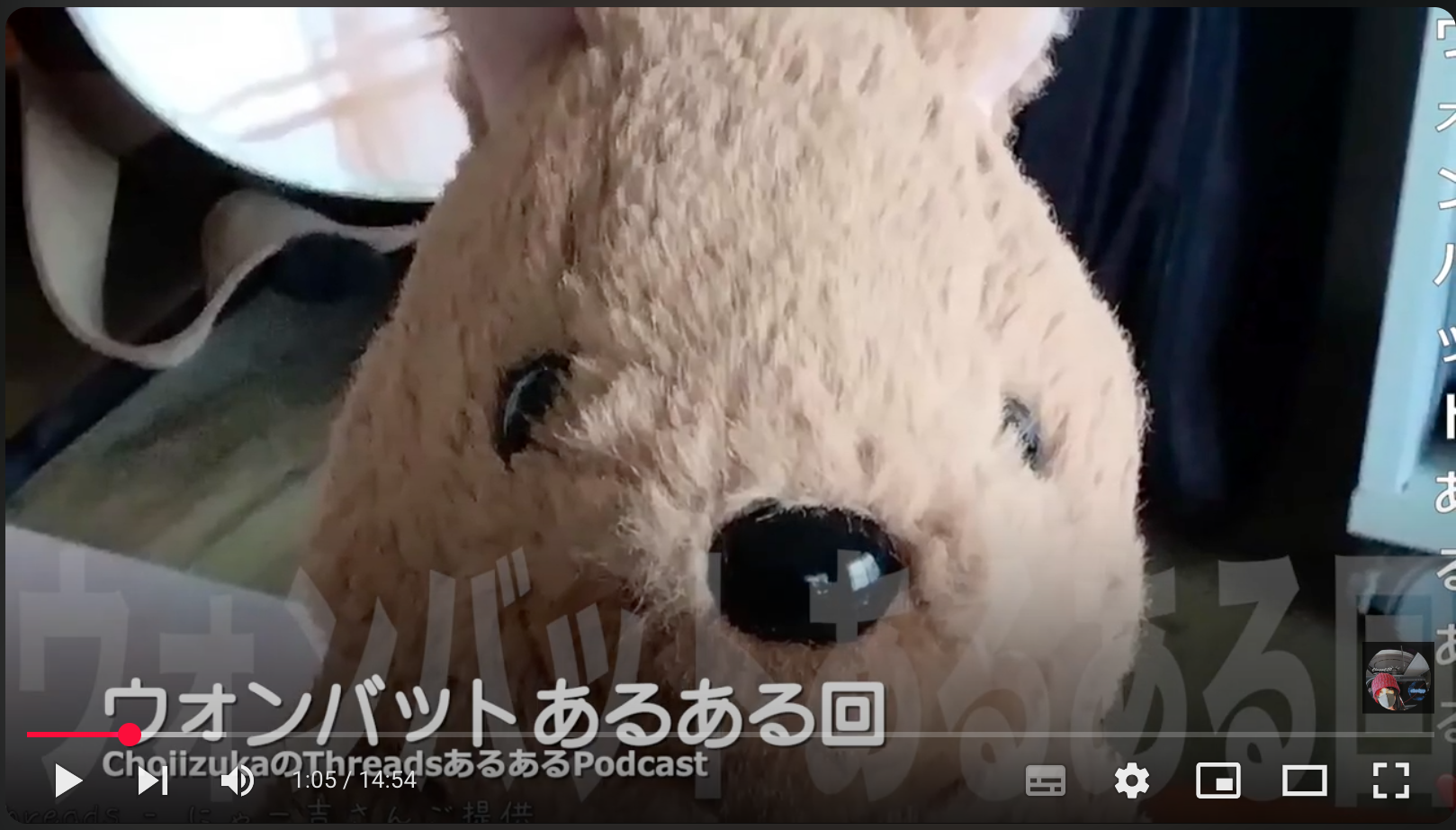 「ウォンバットあるある回」 ChoiizukaのThreadsあるあるPodcast 2025年8月10日
